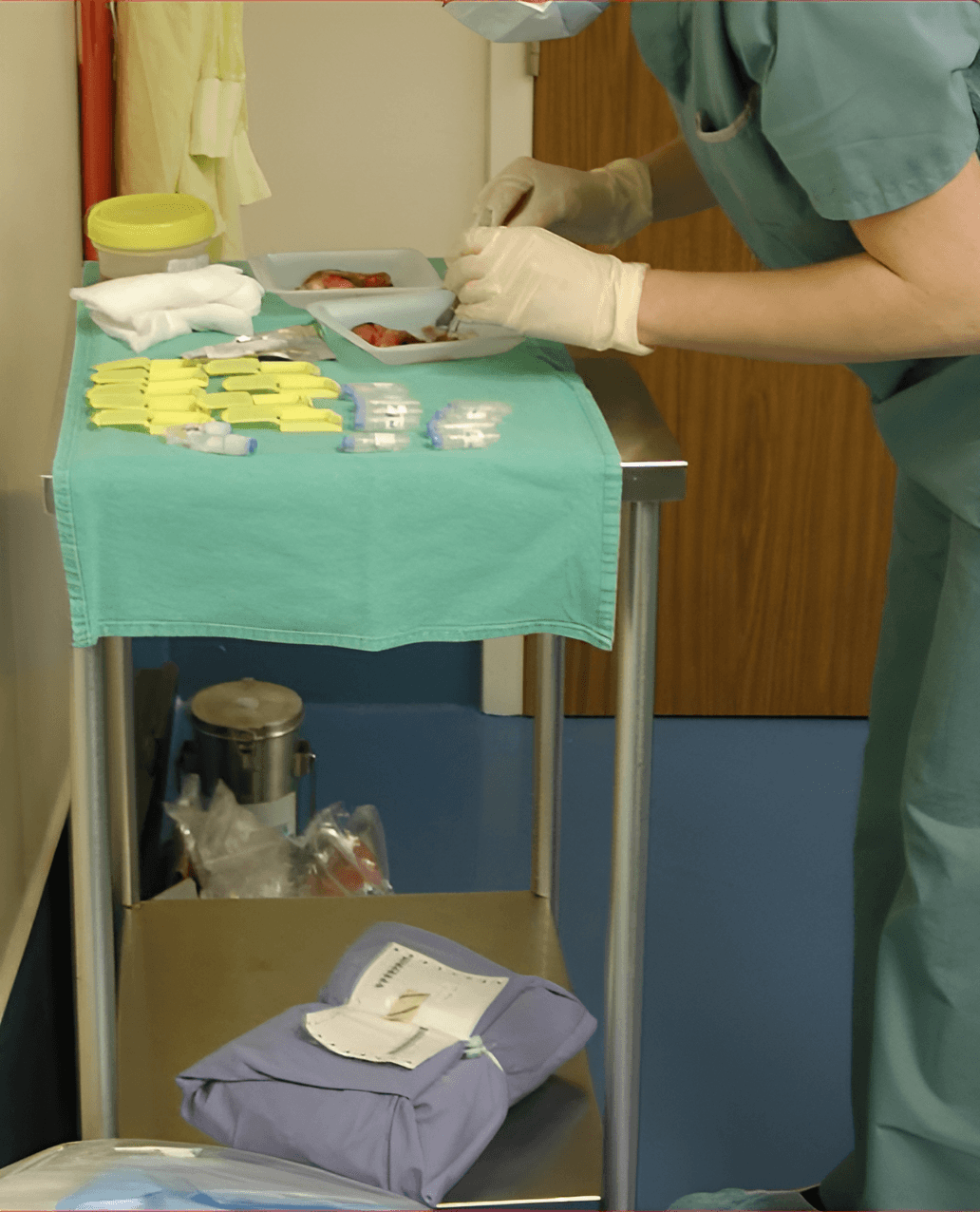 Research Coordinator Marcela White holding a sample